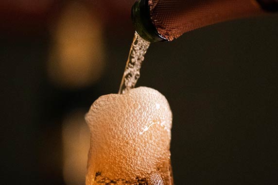 Radgonske gorice cover by Gašper Simonič - GS Visuals